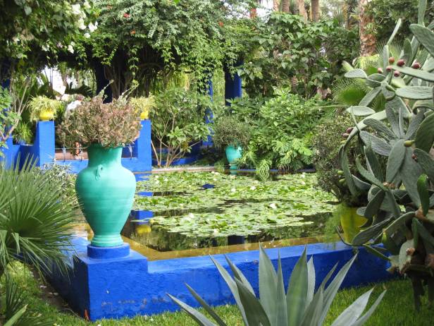 majorelle-lillypond-2