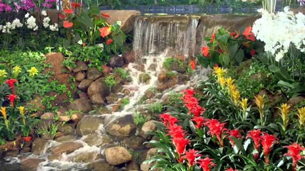 me-jardines-de-mejico-du