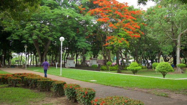 me-tomas-garrido-canabal-park-ac