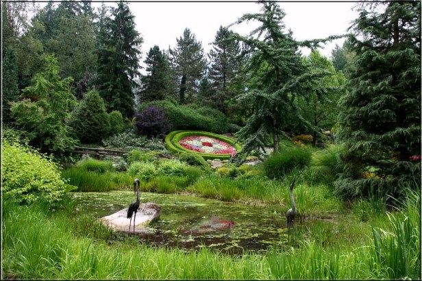 minter-3_redimensionar