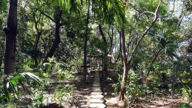 ni-arboretum-nacional-juan-bautista-salas-managua-nicaragua-b