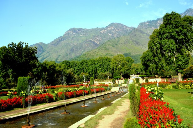 nishat-bagh-akashmir-302