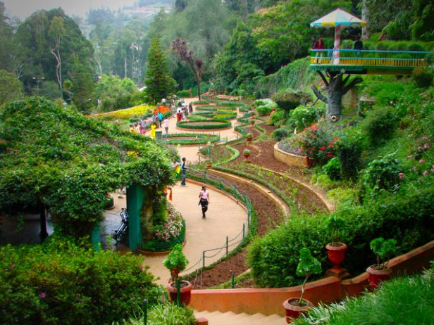 ooty-botanical-garden-botanical20garden20ooty