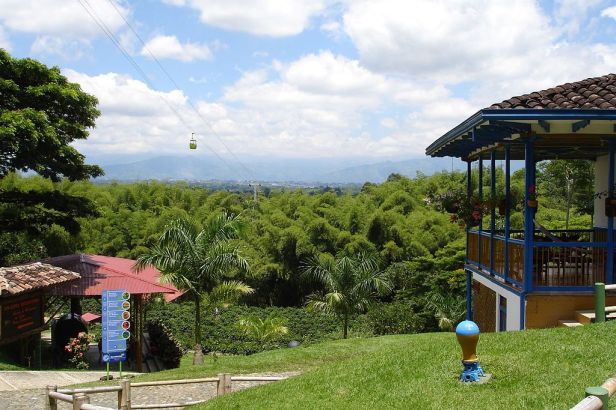parque-del-cafe-bosque_de_guadua_en_el_parque_del_cafe-colombia