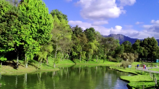 parque-metropolitano-simon-bolivar-bogota-c