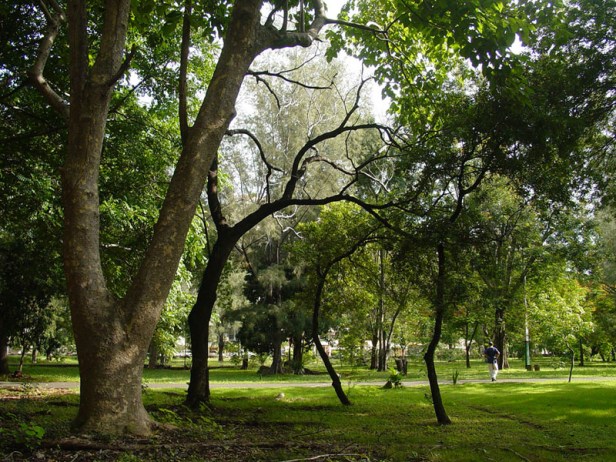parque-mirador-sur-santo-domingo