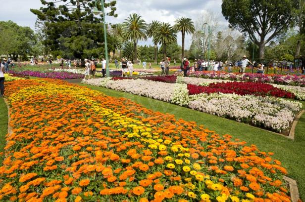 queens-park-gardens-toowoomba-qld-_dsc8342