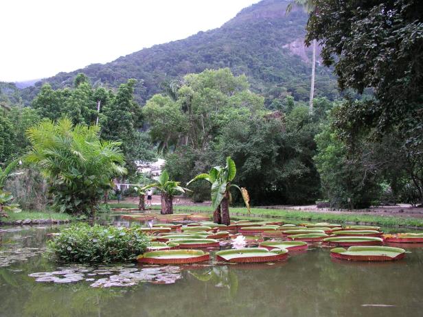 rio-jardin-botanico-9