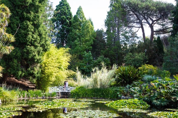 royal-tasmanian-botanical-gardens-x-kn