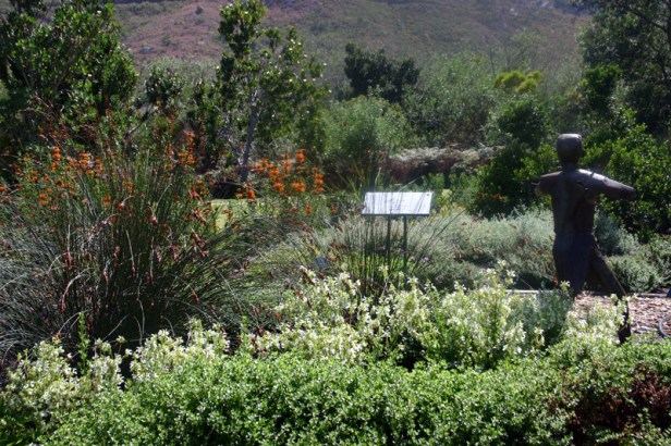 sa-harold-porter-jardin-botanico