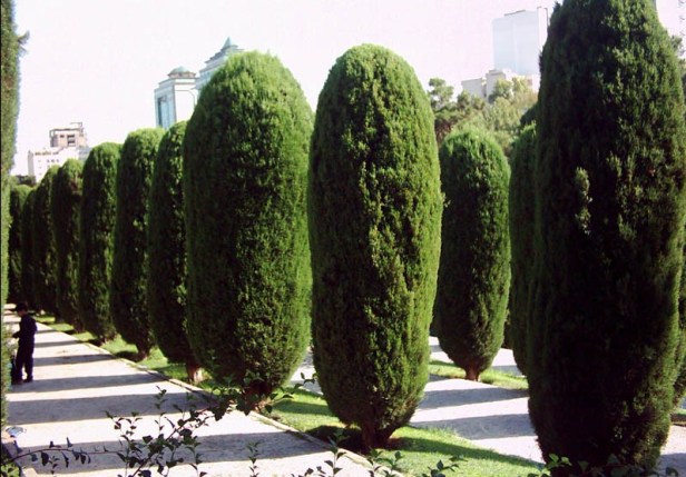 saiee-park-tehran-irancipres