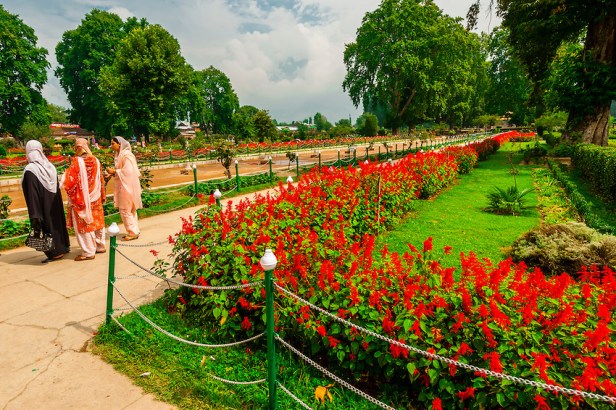 Shalimar Bagh (a Mughal Garden), near Srinagar, Kashmir, Jammu and Kashmir State, India.