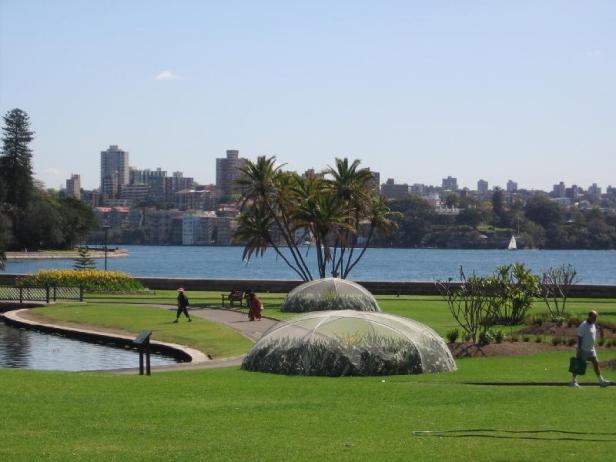 sydney-botanic-garden-x7