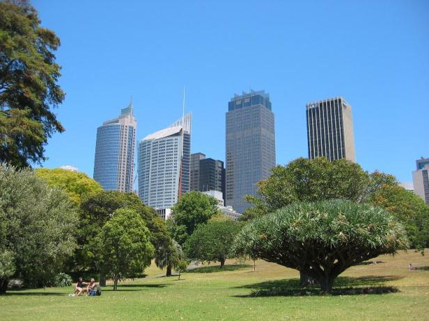 sydney-botanical-garden-1-2