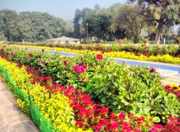 talkatora-garden-delhi-flor