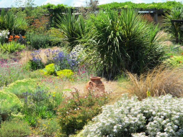 te-popo-gardens-kwildside-77-copy