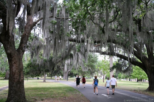 usa-audubon-park-nueva-orleans