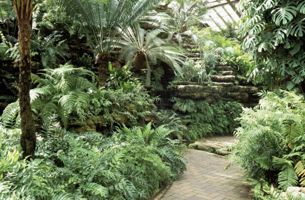 usa-garfield-park-conservatory-de-jens-jensen