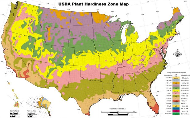 usda plant hardiness zone map