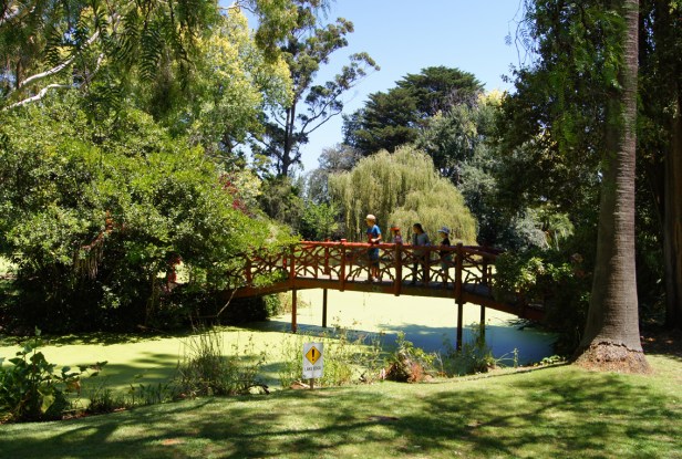 vic-originally-developed-in-1868-in-the-gardenesque-style-to-sargood-family