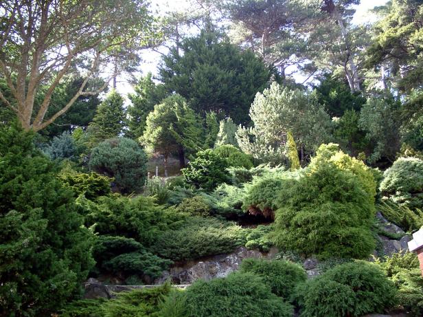 wellington-botanic-01