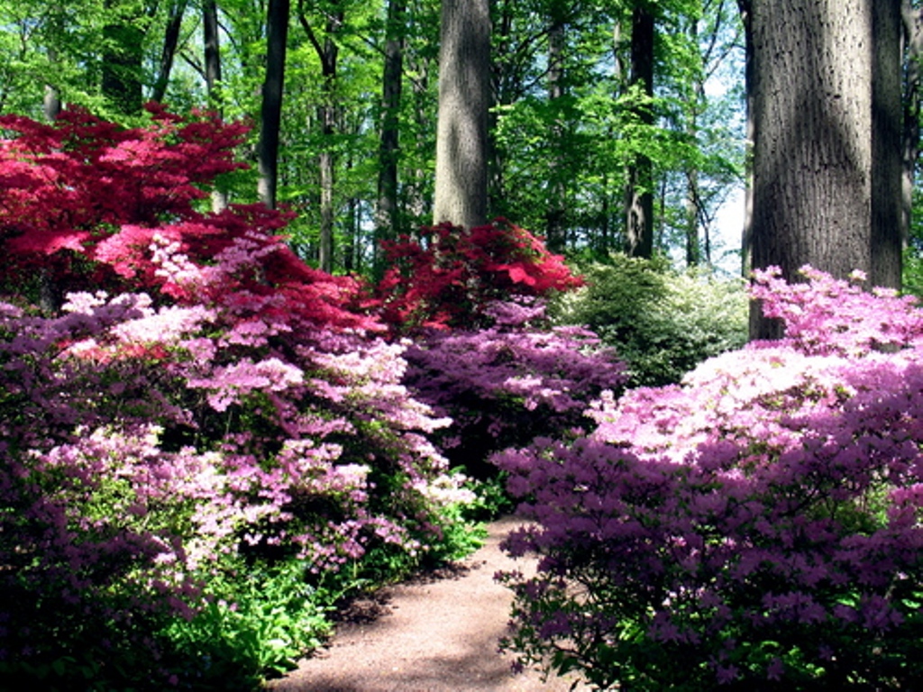 Cap.-X.-Jardines de America – Jardines sin fronteras, image size:1024x768