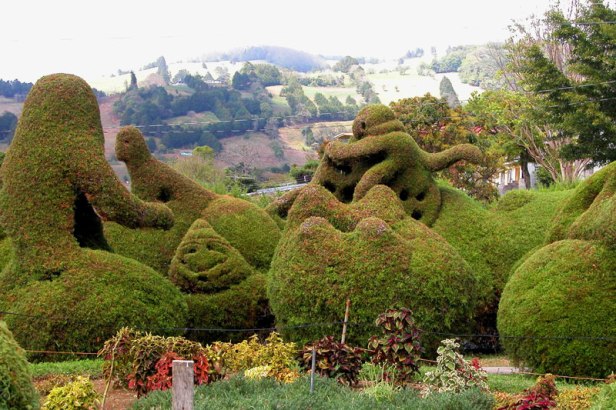 zarcero-costarica_47-2