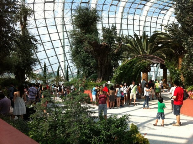 asia-gardens-by-the-bay-singapore-nq