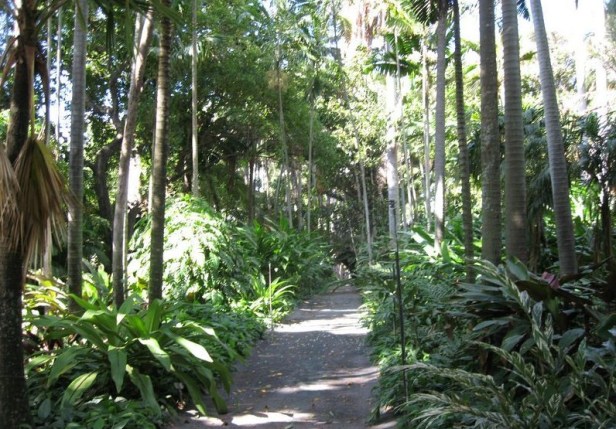 foster_botanical_garden