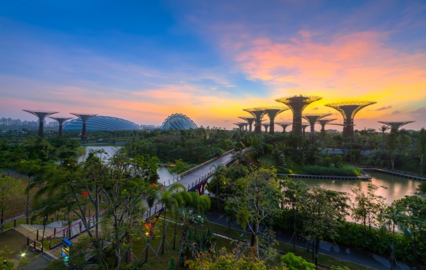 gardens-by-the-bay-singapore-d