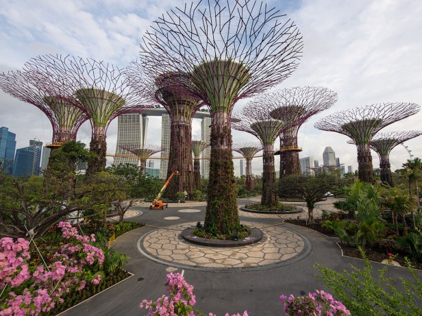 gardens-by-the-bay-supertree_grove__singapore_-qb