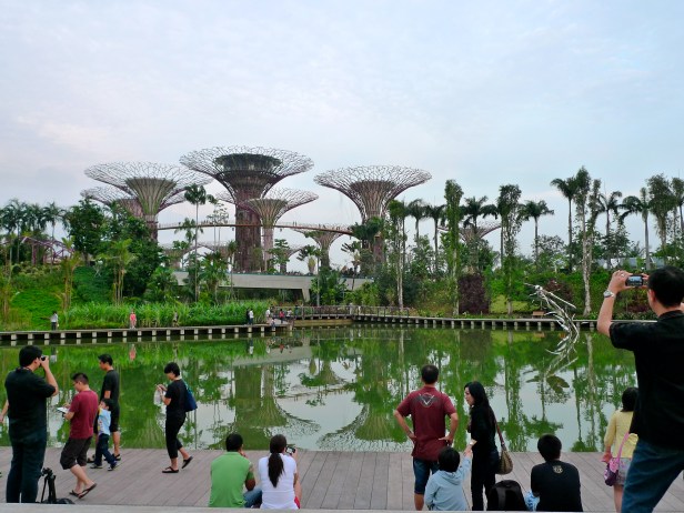 gardens_by_the_bay_singapore_-_201