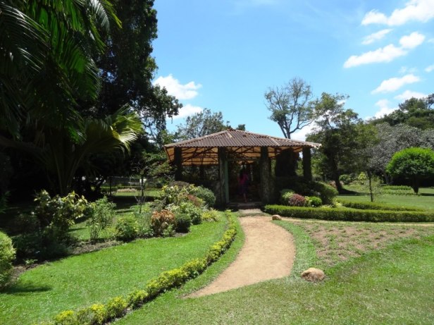 henarathgoda-botanical-gardens-kjk