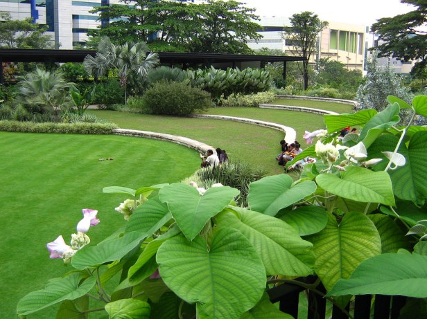 hortpark-singapore-aj