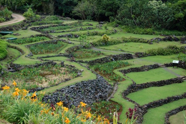 limahuli-national-tropical-_garden-hawaii-2