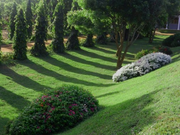 mirijjawila_5botanicgarden