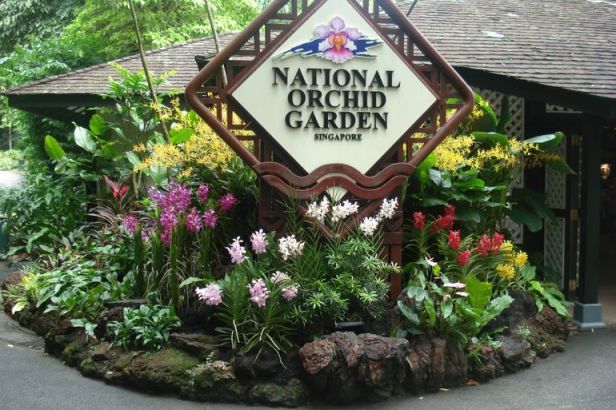 national-orchid-garden