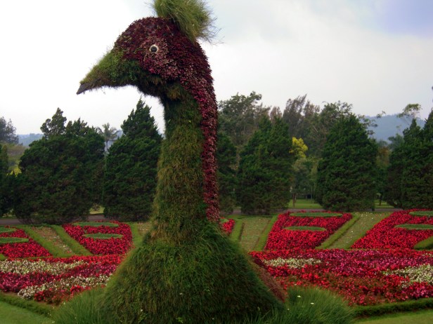 nusantara-flower-park-qy