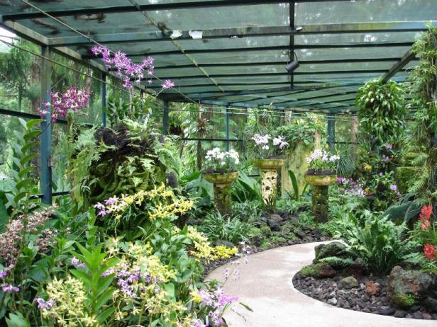 orchid-gardens-malasia