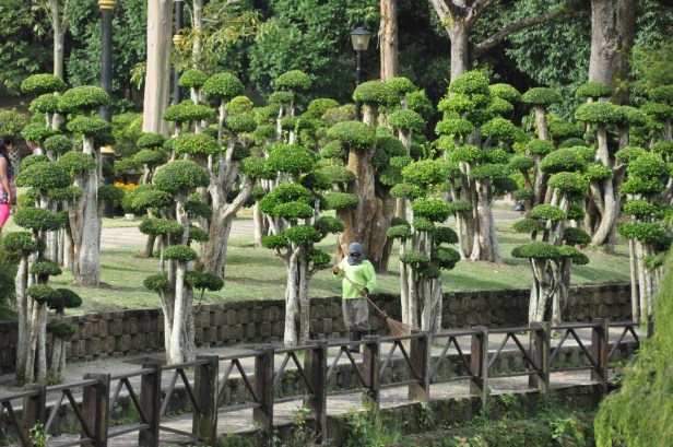 perdana-botanic-gardens-and-kl-qf