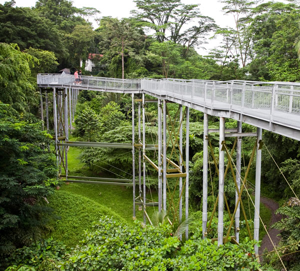 southern-ridges-park-singapore-vg