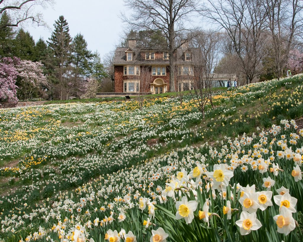 Estados de Virginia, Maryland y Nueva Jersey – Jardines sin fronteras, image size:1024x818