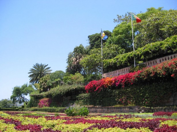 Madeira Botanic.-16_redimensionar