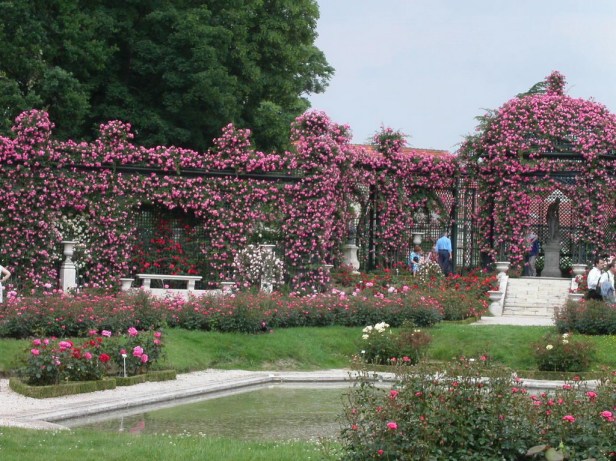 Roseraie Val-de-Marne.-18_redimensionar