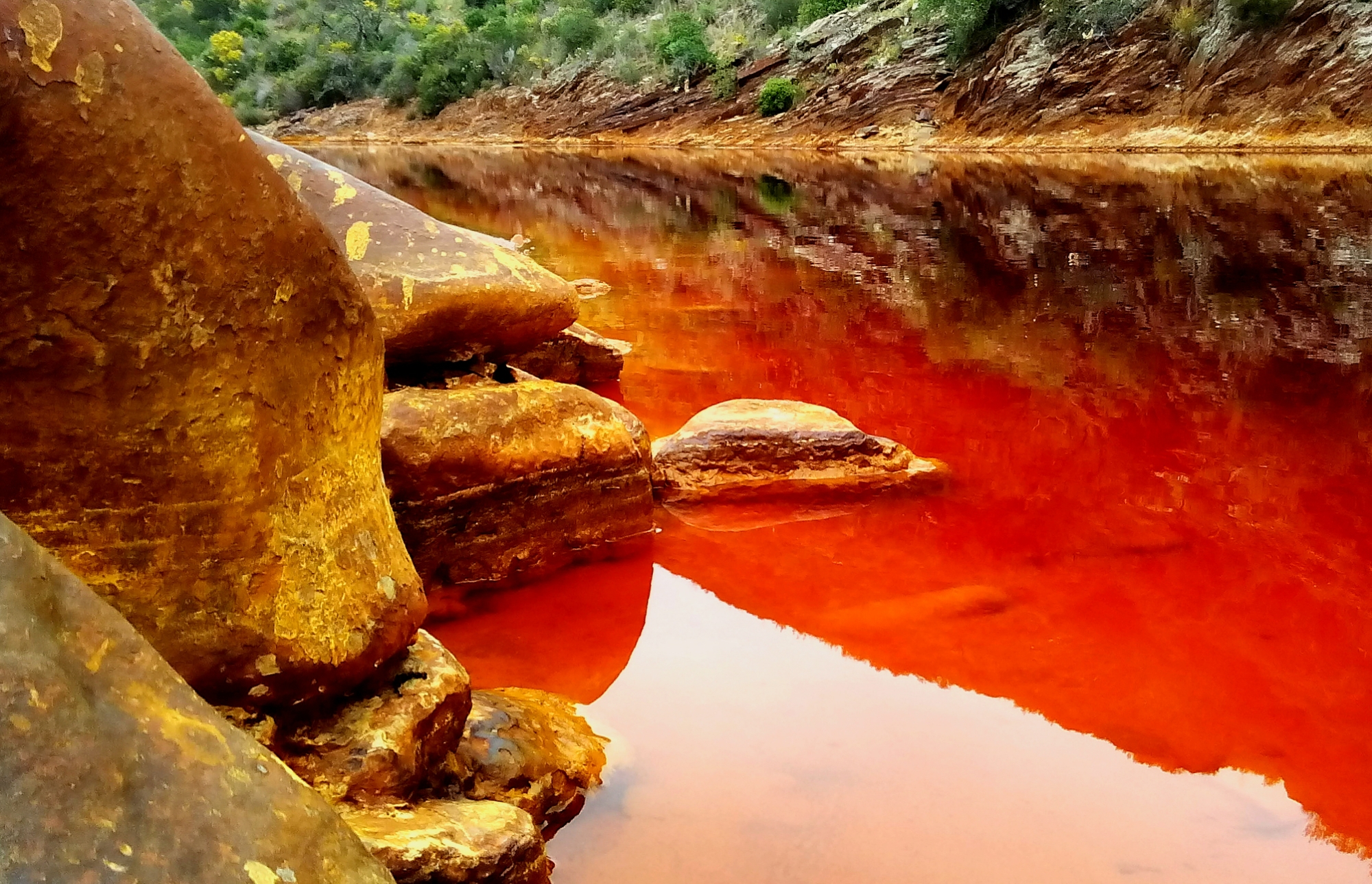 HUELVA INSOLITA,-EL RIO TINTO – Jardines sin fronteras