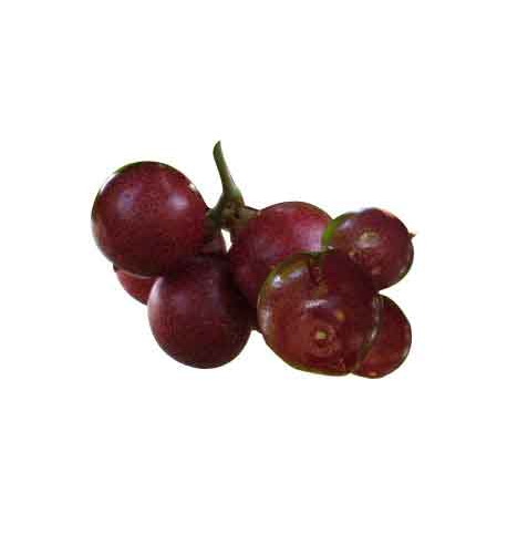 Baya de Lima.-ojo Uva