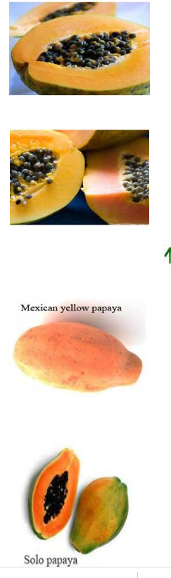Papaya vars