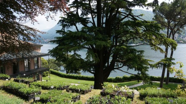 Villa Grumello.-a.jpg