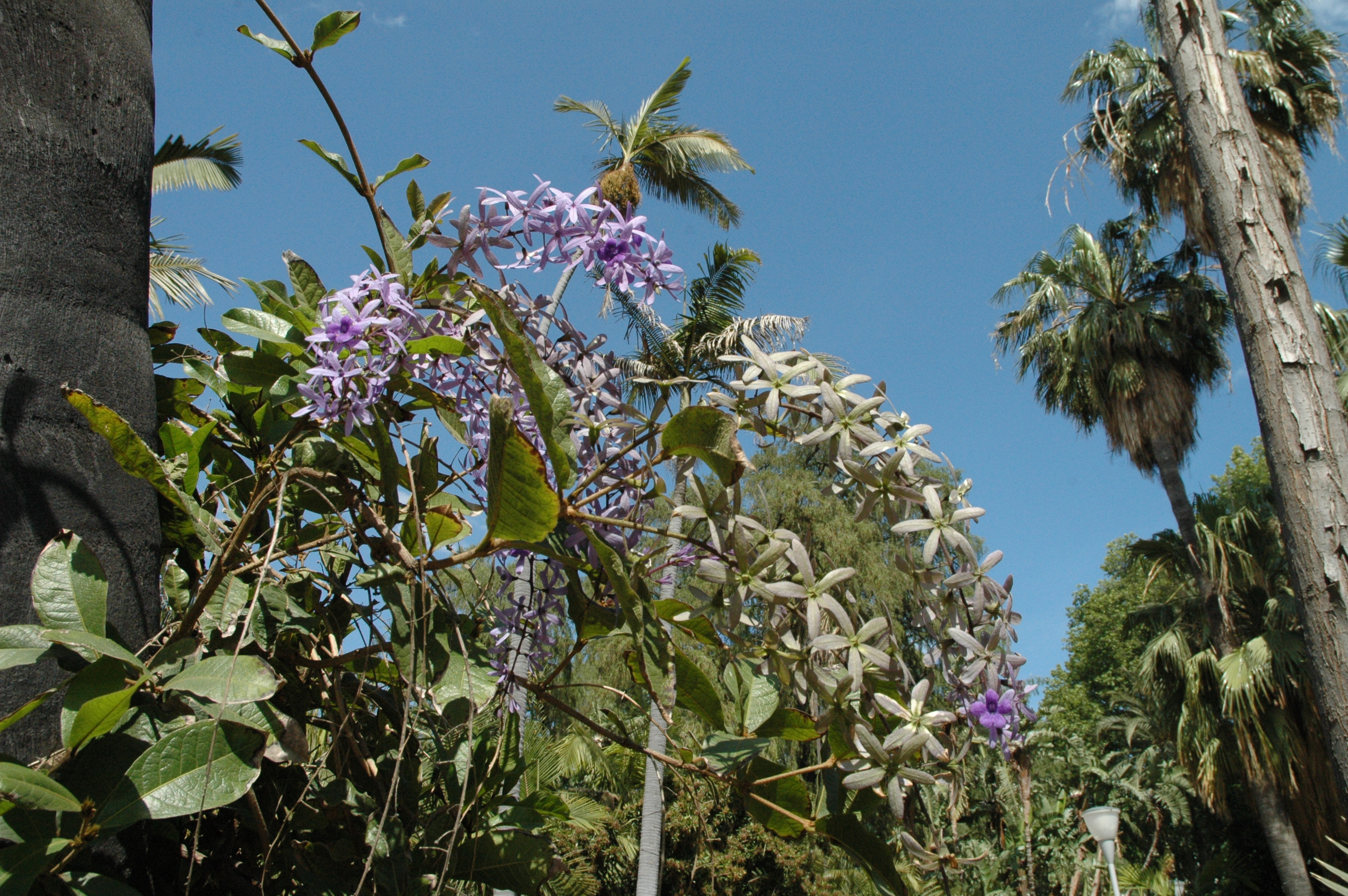 El Jardín del Inca (@eljardindelinca) • Instagram photos and videos, image size:3008x2000