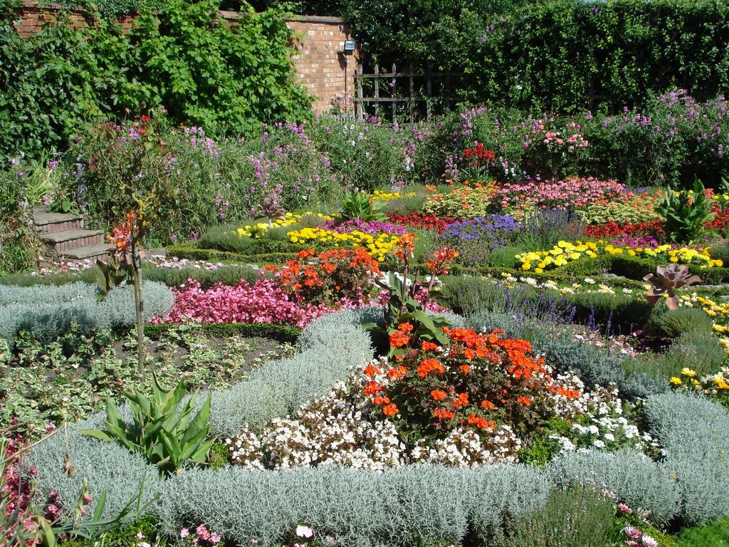 FRASES CÉLEBRES SOBRE EL JARDÍN Y LA NATURALEZA – Jardines sin fronteras, image size:1024x768